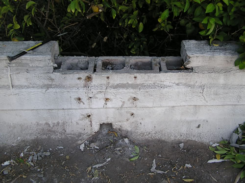 Top blocks of concrete block wall removed to access honeycomb