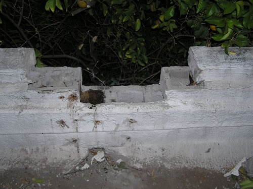 Second row of blocks removed to access honeycomb