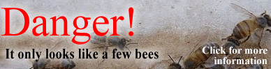Danger! It May Only Look Like a Few Bees